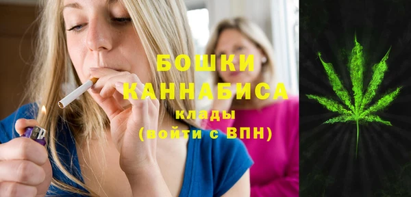 дживик Аркадак