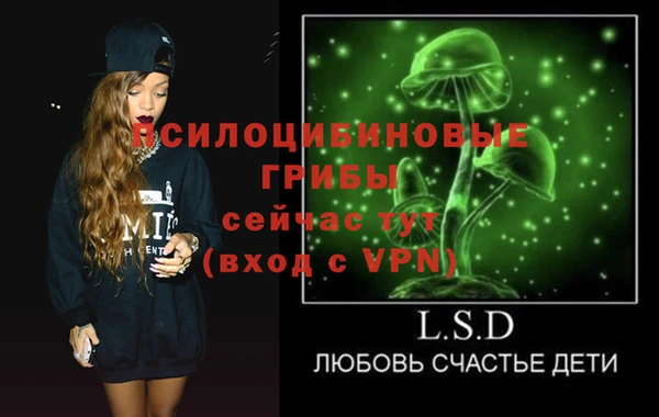 дживик Аркадак