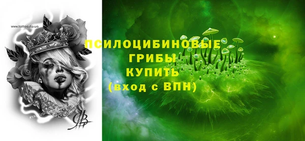дживик Аркадак